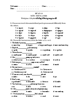 Đề thi chọn học sinh giỏi môn Tiếng Anh Lớp 8 - Đề số 10